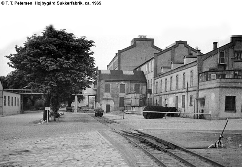 Højbygård Sukkerfabrik 1965