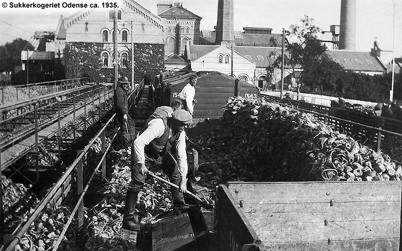 Sukkerkogeriet Odense 1935