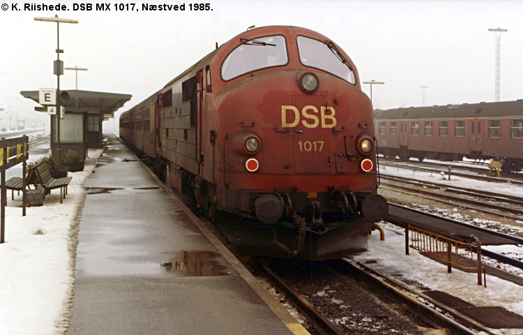 DSB MX 1017