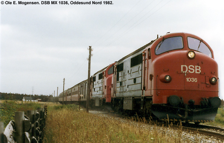 DSB MX 1036