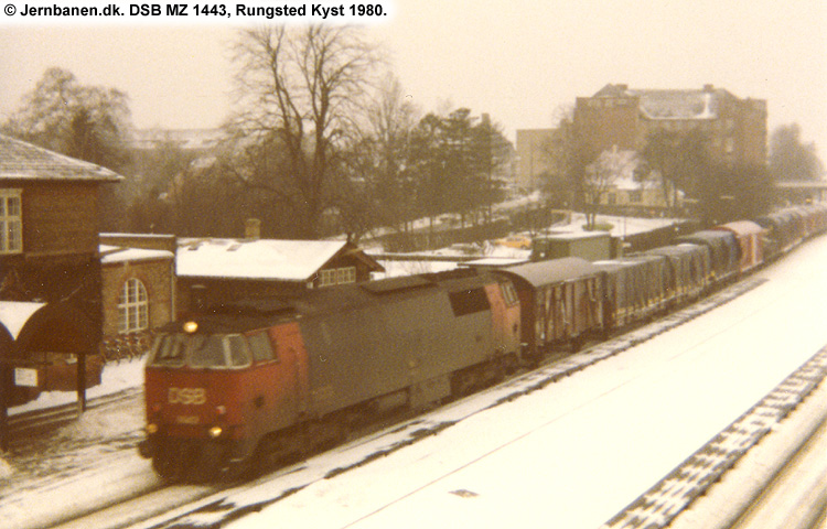 DSB MZ 1443 DSB MZ 1443