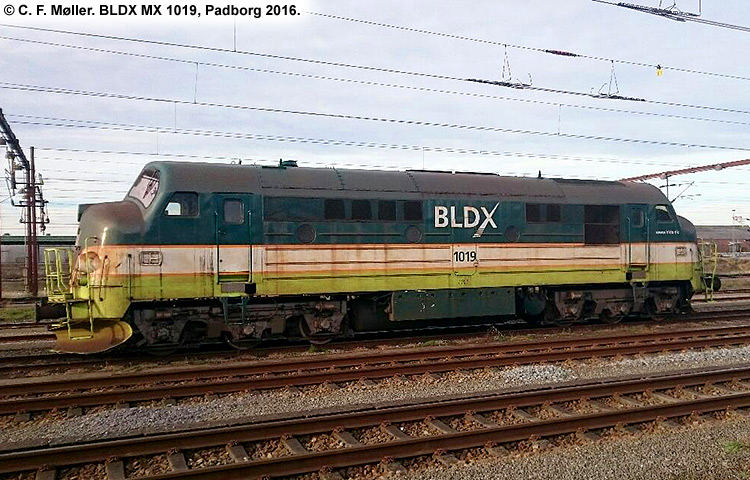 BLDX MX 1019