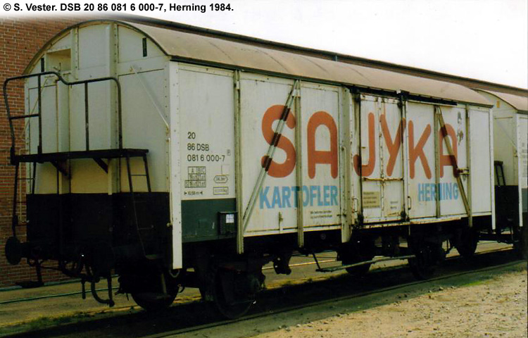 SAJYKA Amba - DSB 20 86 081 6 000-7 SAJYKA Amba - DSB 20 86 081 6 000-7