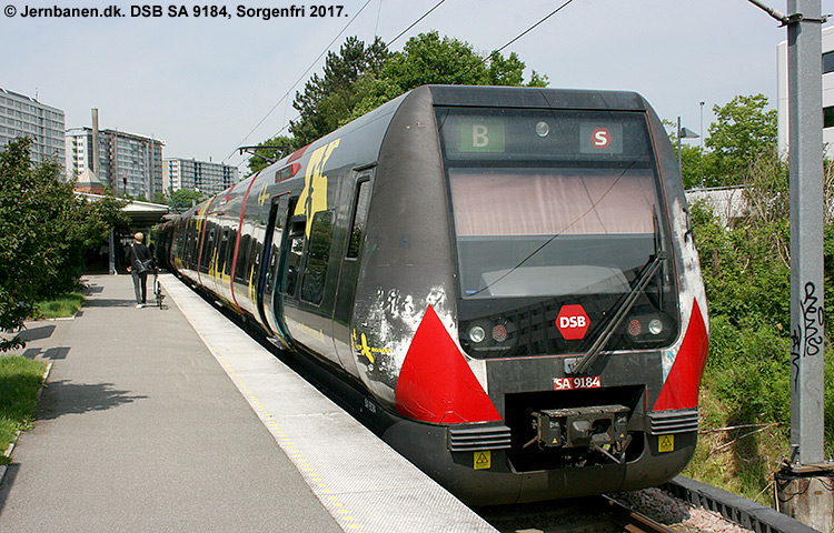 DSB SA 8184