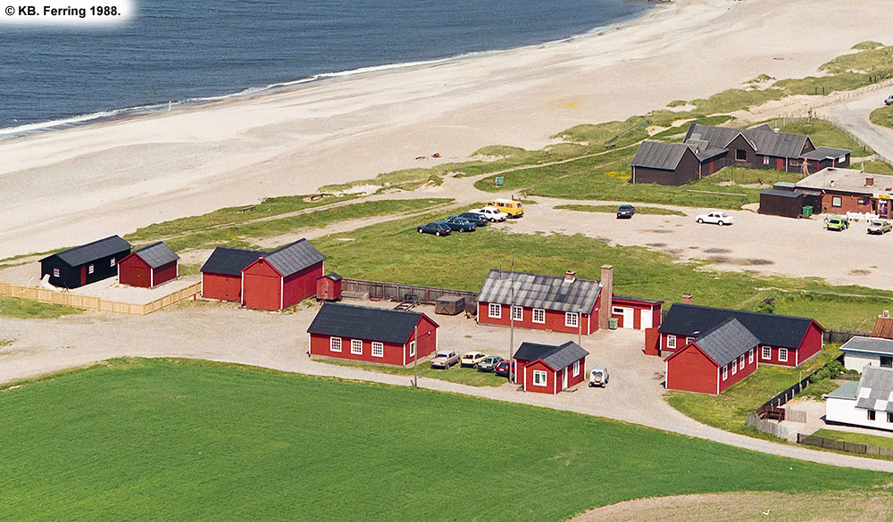 Ferring 1988