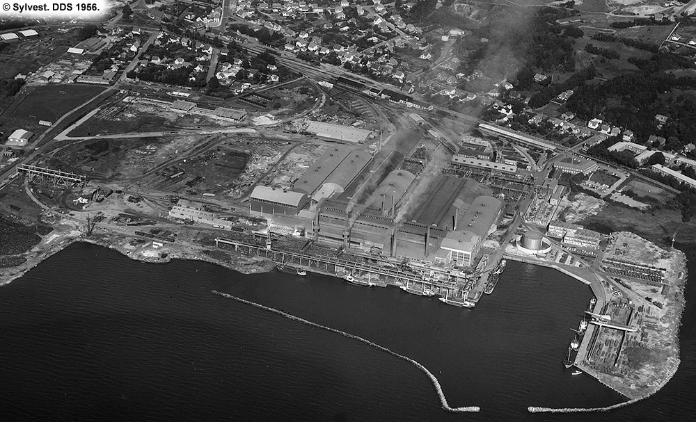 DDS 1956