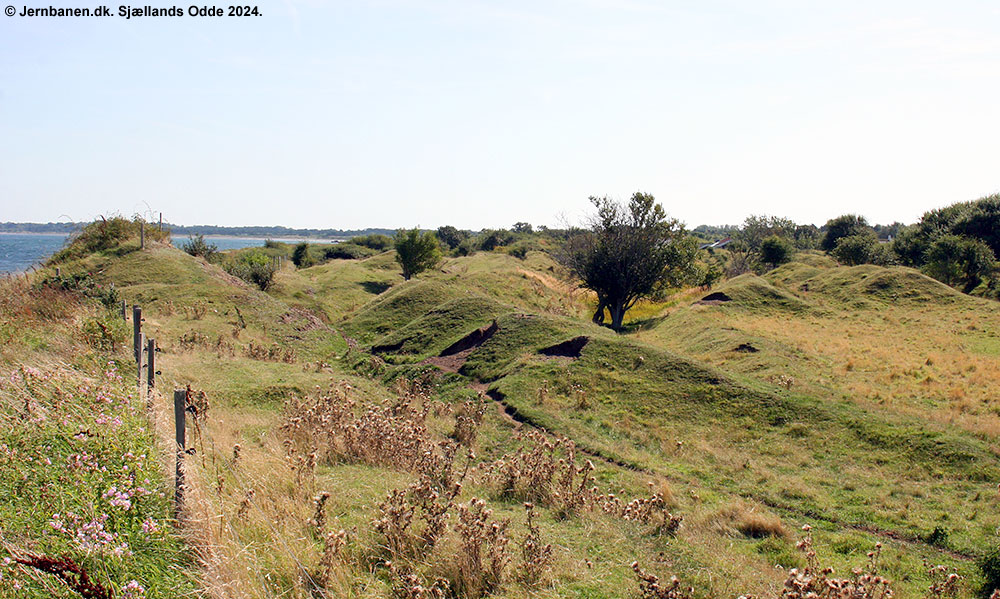 Sjællands Odde 2024